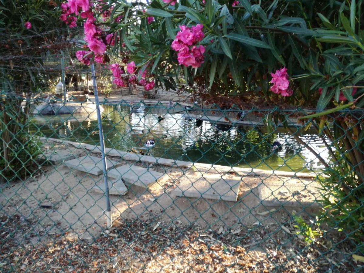 Quinta Vita - Vila Pera Almancil Exteriér fotografie