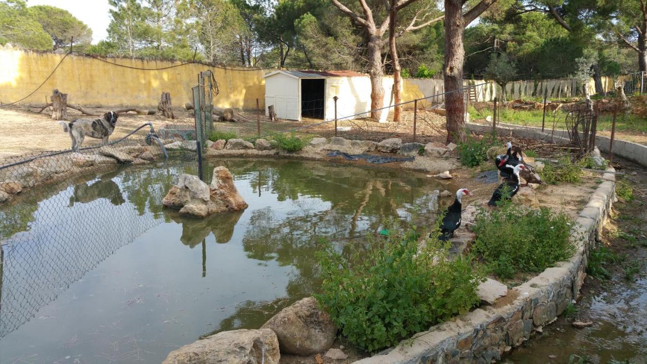 Quinta Vita - Vila Pera Almancil Exteriér fotografie