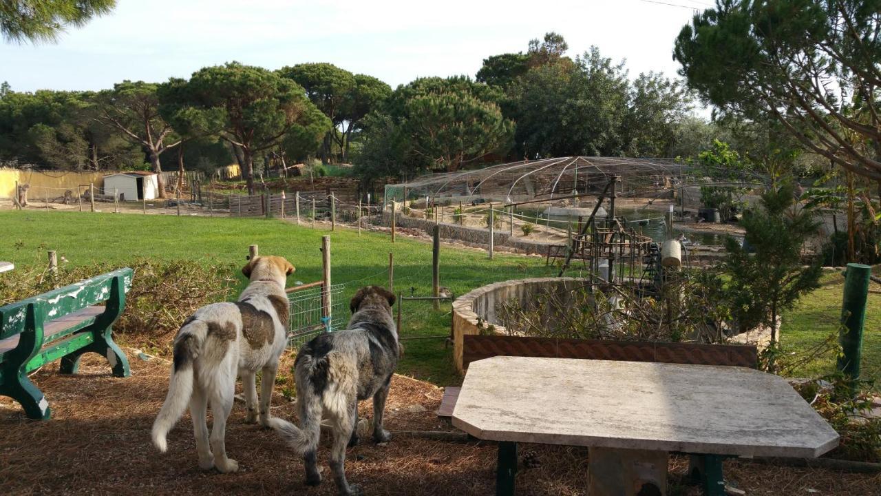 Quinta Vita - Vila Pera Almancil Exteriér fotografie