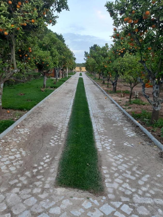Quinta Vita - Vila Pera Almancil Exteriér fotografie